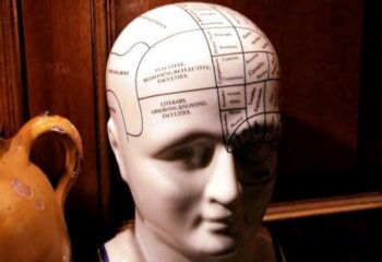 Brain Injury Concussion