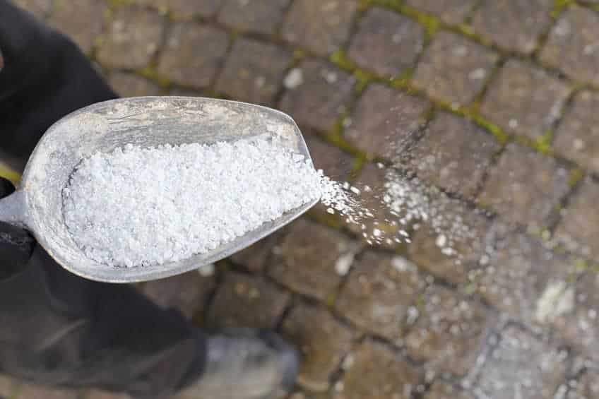 person spreading salt on a pathway