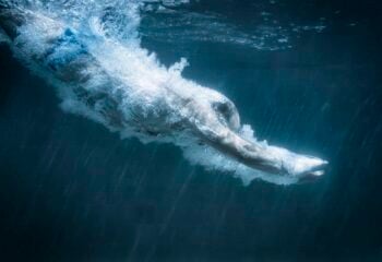 a man diving into a pool