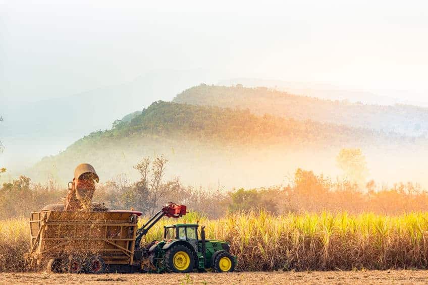 sugarcane harvester working on a farm, mountain background