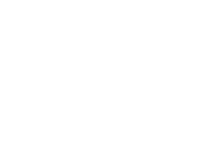 shelter to soldier logo