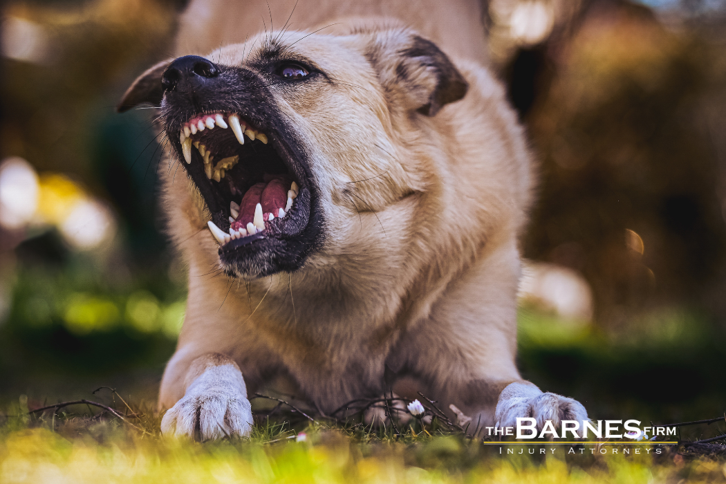 Aggressive dog fixed on something he wants to attack